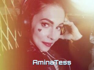 AminaTess