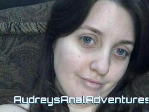 AudreysAnalAdventures