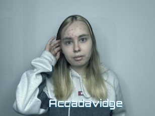 Accadavidge