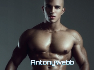 Antonywebb