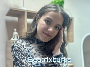 Beatrixburks