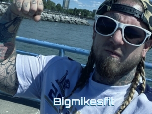 Bigmikesfit