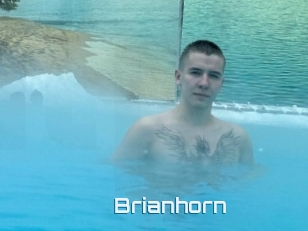 Brianhorn