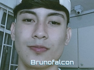 Brunofalcon