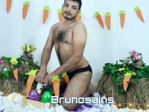 Brunosains