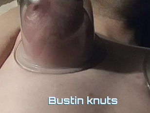 Bustin_knuts