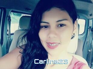 Carlina23