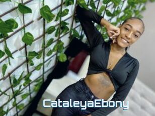 CataleyaEbony