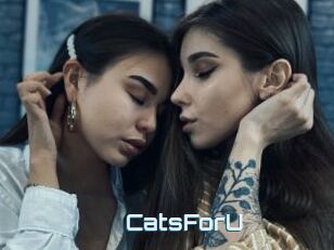 CatsForU