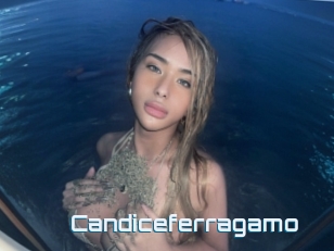 Candiceferragamo