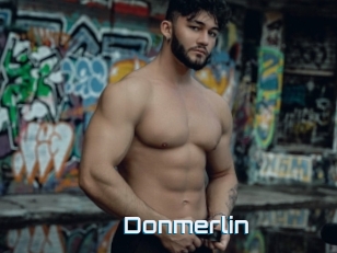 Donmerlin