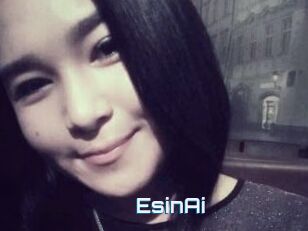 EsinAi