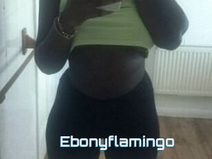 Ebony_flamingo