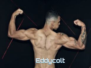 Eddycolt