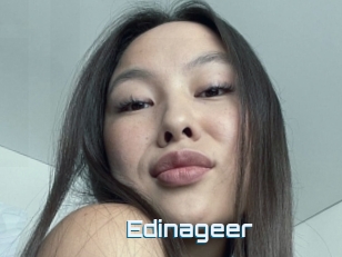 Edinageer