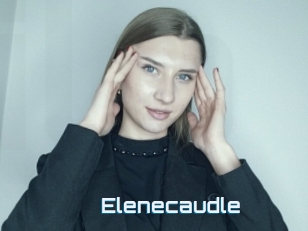 Elenecaudle