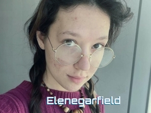 Elenegarfield