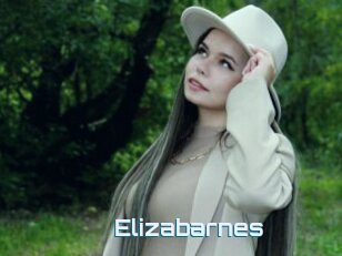 Elizabarnes