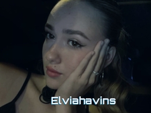 Elviahavins