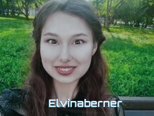 Elvinaberner