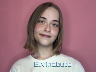 Elvinabute