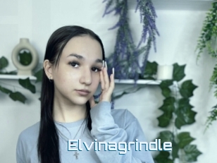 Elvinagrindle