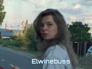 Elwinebuss