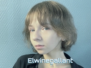 Elwinegallant