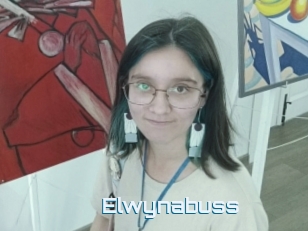 Elwynabuss