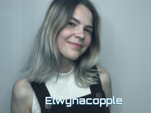 Elwynacopple