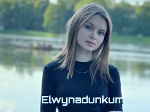 Elwynadunkum