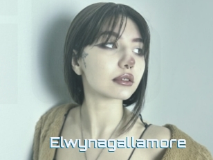 Elwynagallamore