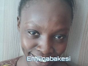 Emilinabakesi