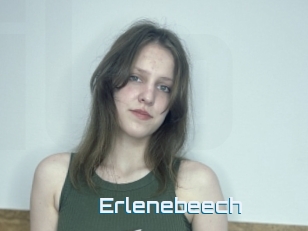 Erlenebeech