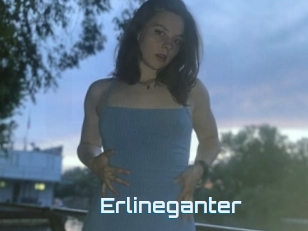 Erlineganter