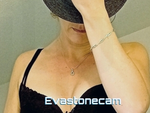 Evastonecam