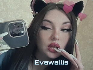 Evawallis