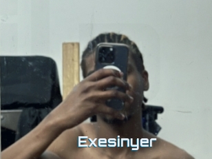 Exesinyer