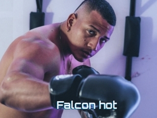 Falcon_hot