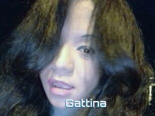 Gattina