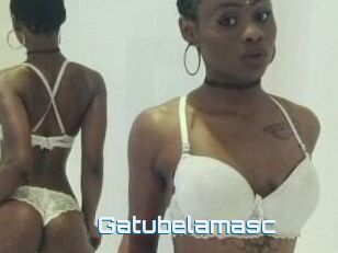 Gatubela_masc