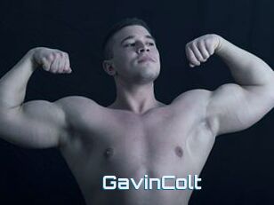 GavinColt