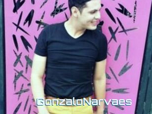 GonzaloNarvaes