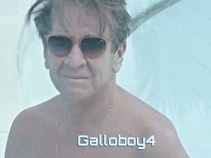 Galloboy4