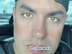 Gatoccc