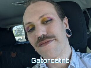 Gatorcatnb