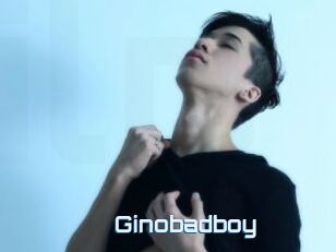 Ginobadboy