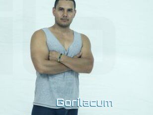 Gorilacum