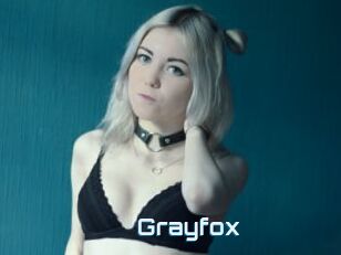 Grayfox