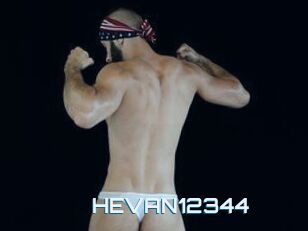 HEVAN12344